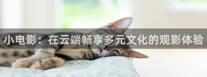 www.51视频在线：小电影：在云端畅享多元文化的观影体验