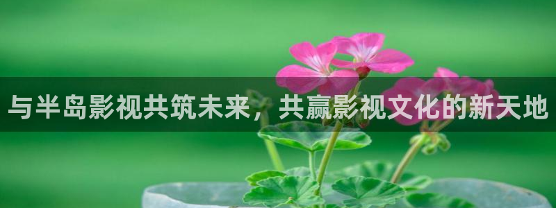 51视频完整版：与半岛影视共筑未来，共赢影视文化的新天地