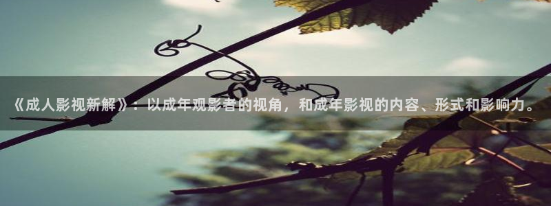 51视频免费入口