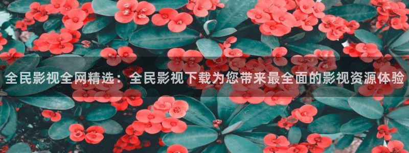 51视频啊啊啊
