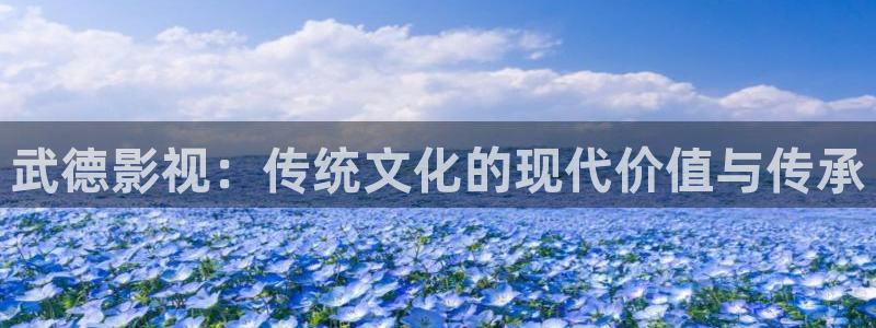 mm 51视频