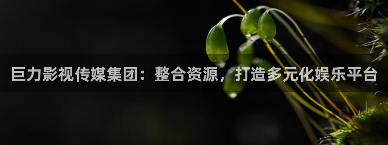 51视频专区