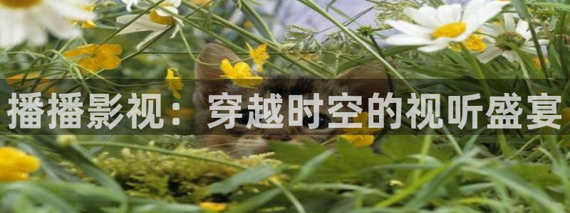 51视频免费观看视频：播播影视：穿越时空的视听盛宴