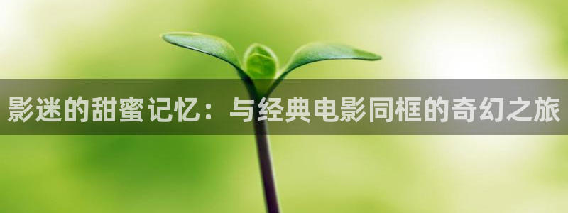 51视频手机在线观看