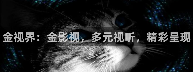 51视频一区二区