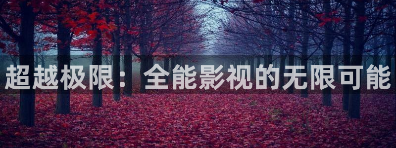 51视频在线一区