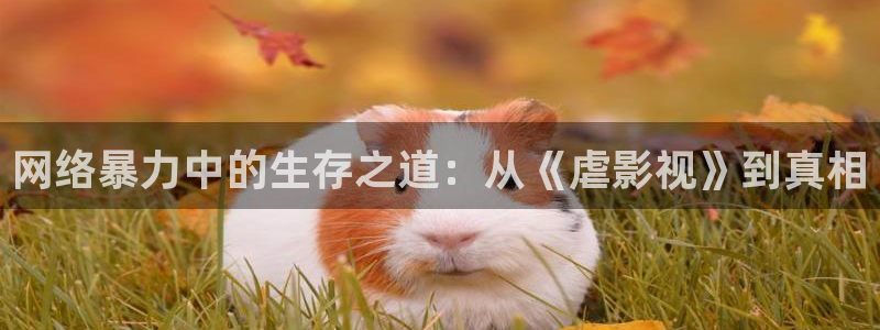 51视频破解