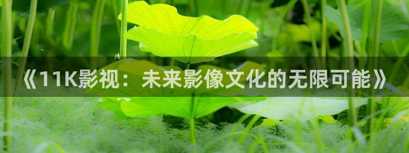 51视频免费入口