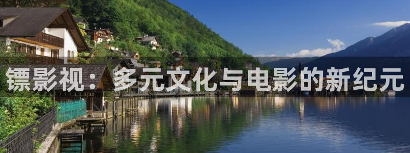 51视频安装入口