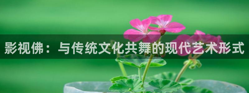 51视频免费播放